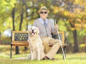 Der Blindenführhund ist der treue Begleiter blinder Menschen, Foto: Thinkstock Ein Mann sitzt mit einem Blindenstock auf einer Bank im Park, neben ihm ein Golden Retriever.