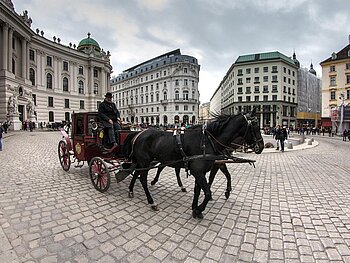 KulturBlick: Die Geheimnisse der Fiaker