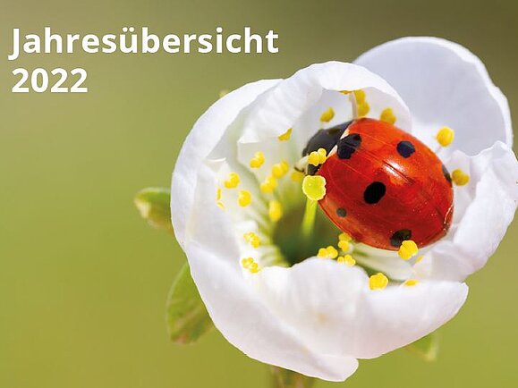 Ein roter Marienkäfer sitzt auf einer weißen Blüte mit gelben Stempeln. Der Hintergrund ist grün und unscharf. Links daneben steht in weißer Schrift: Jahresübersicht 2022