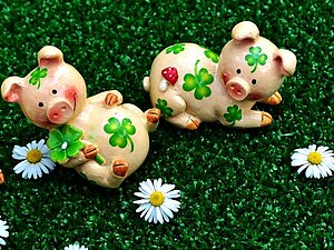 Die Hilfsgemeinschaft wünscht Ihnen alles Gute für das neue Jahr! Drei kleine Keramikschweinchen mit Kleeblättern auf den Körpern liegen auf dem grünen Rasen, auf dem auch Gänseblümchen sind-