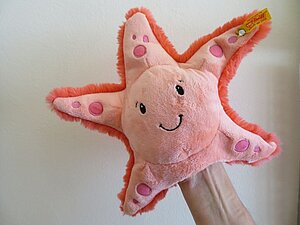 Verschenken Sie einen Kuscheltier-Seestern Ein rosaner Kuscheltierseestern als Handpuppe lächelt in die Kamera