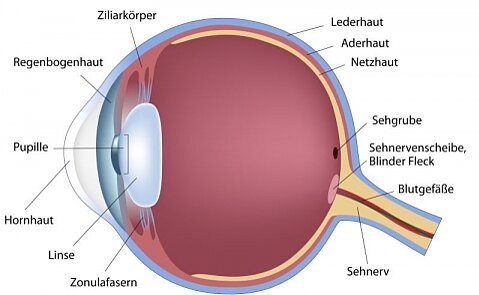 Das Auge ist ein Präzisionsinstrument Abbildung vom Auto mit Aufbau