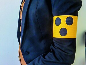 Oberkörper von Person seitlich mit dunkelblauem Jacket und gelber Armbinde mit 3 blauen Punkten