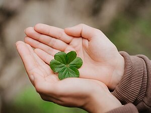 Die Hilfsgemeinschaft wünscht alles Gute zum neuen Jahr! Copyright: envato/ Igor_Tichonow Zwei Hände formen eine Schale und darin befindet sich ein vierblättriges, grünes Kleeblatt.